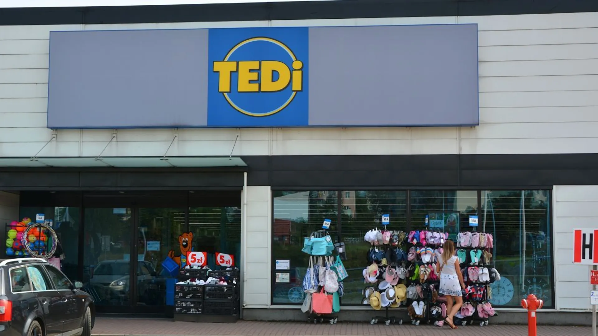 tedi