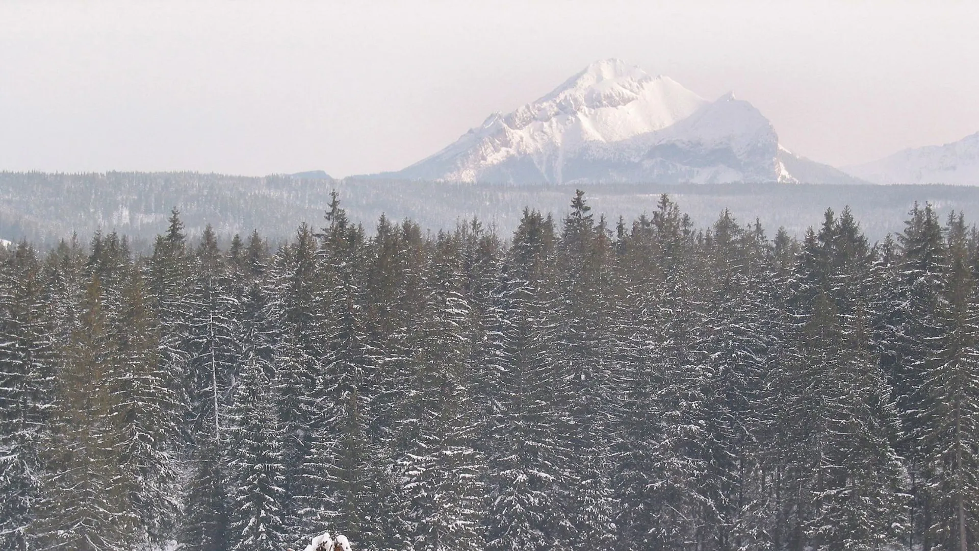 Góry Tatry
