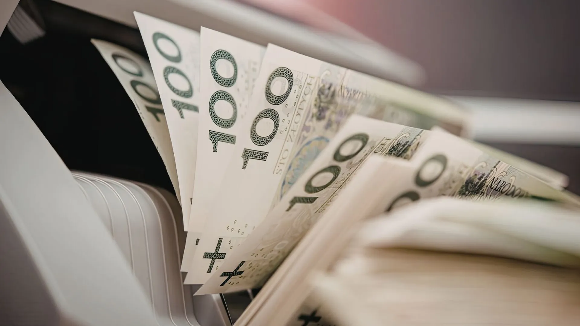 Płatności gotówkowe od 2027 roku Fot. Ioana Adam's Images/CanvaPro