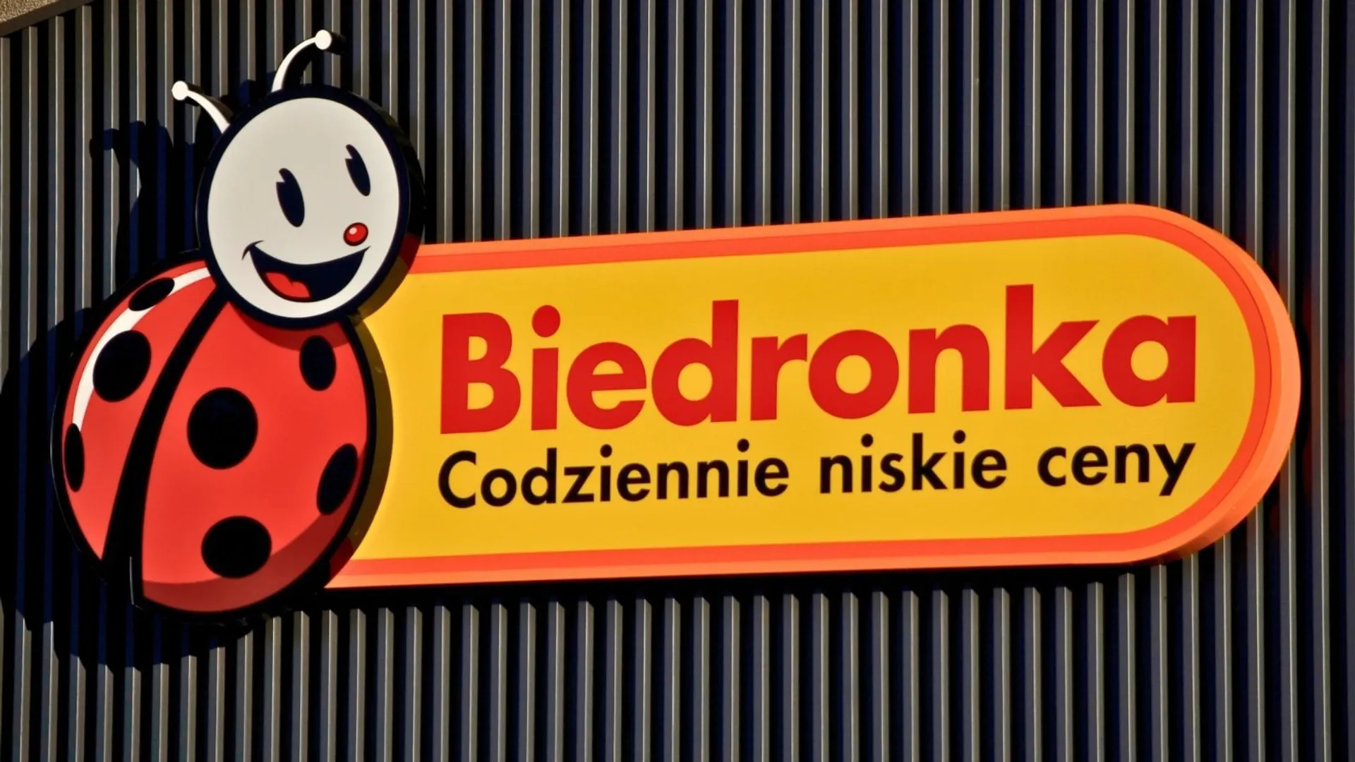 Najlepsza oliwa z Biedronki