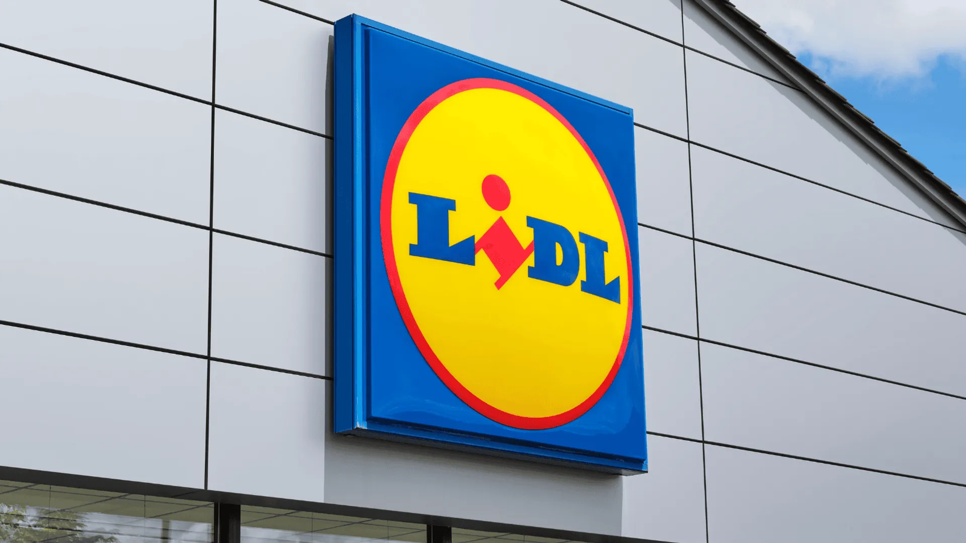 Lidl, promocje, melko, produkt