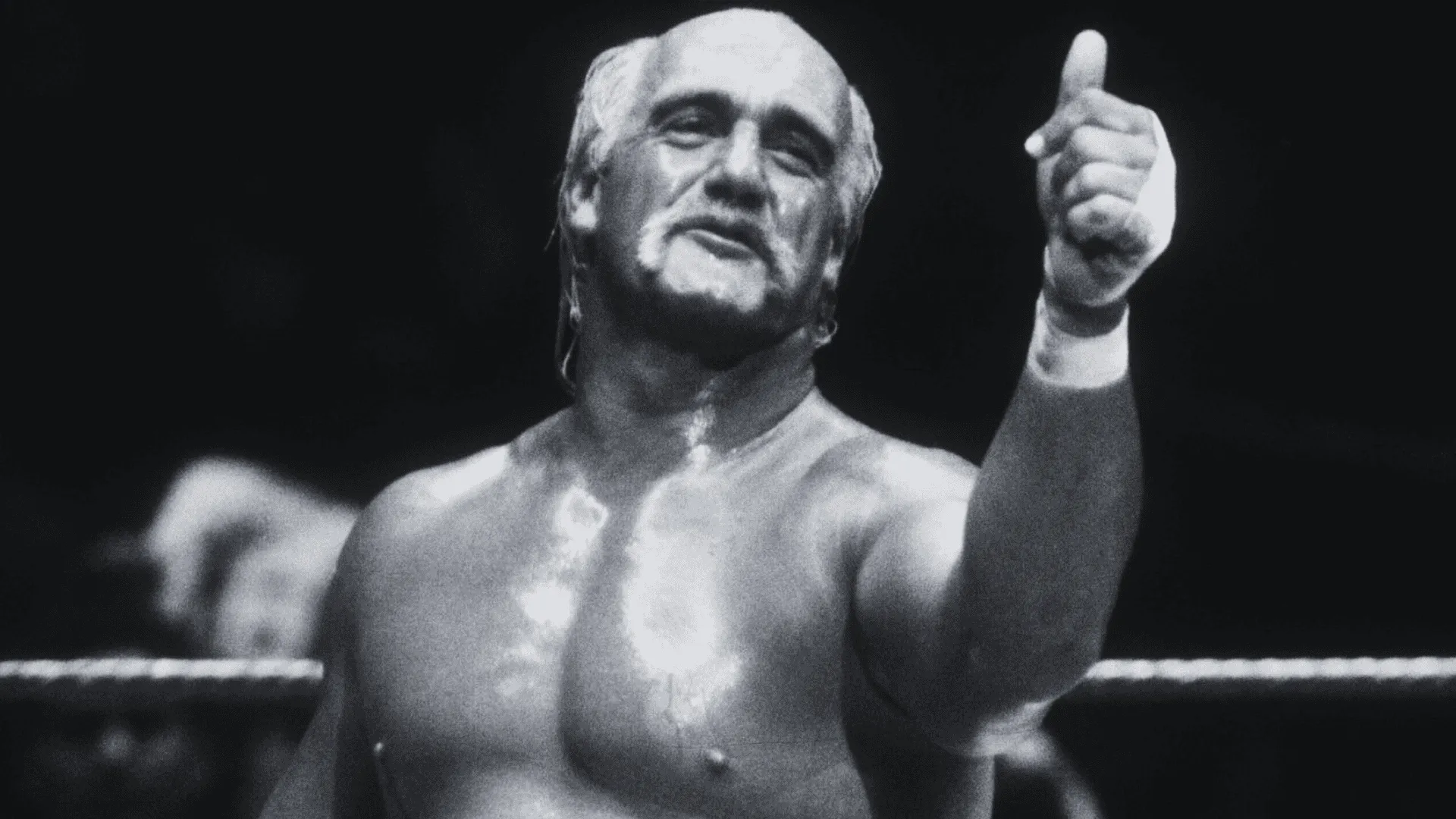 Hulk Hogan