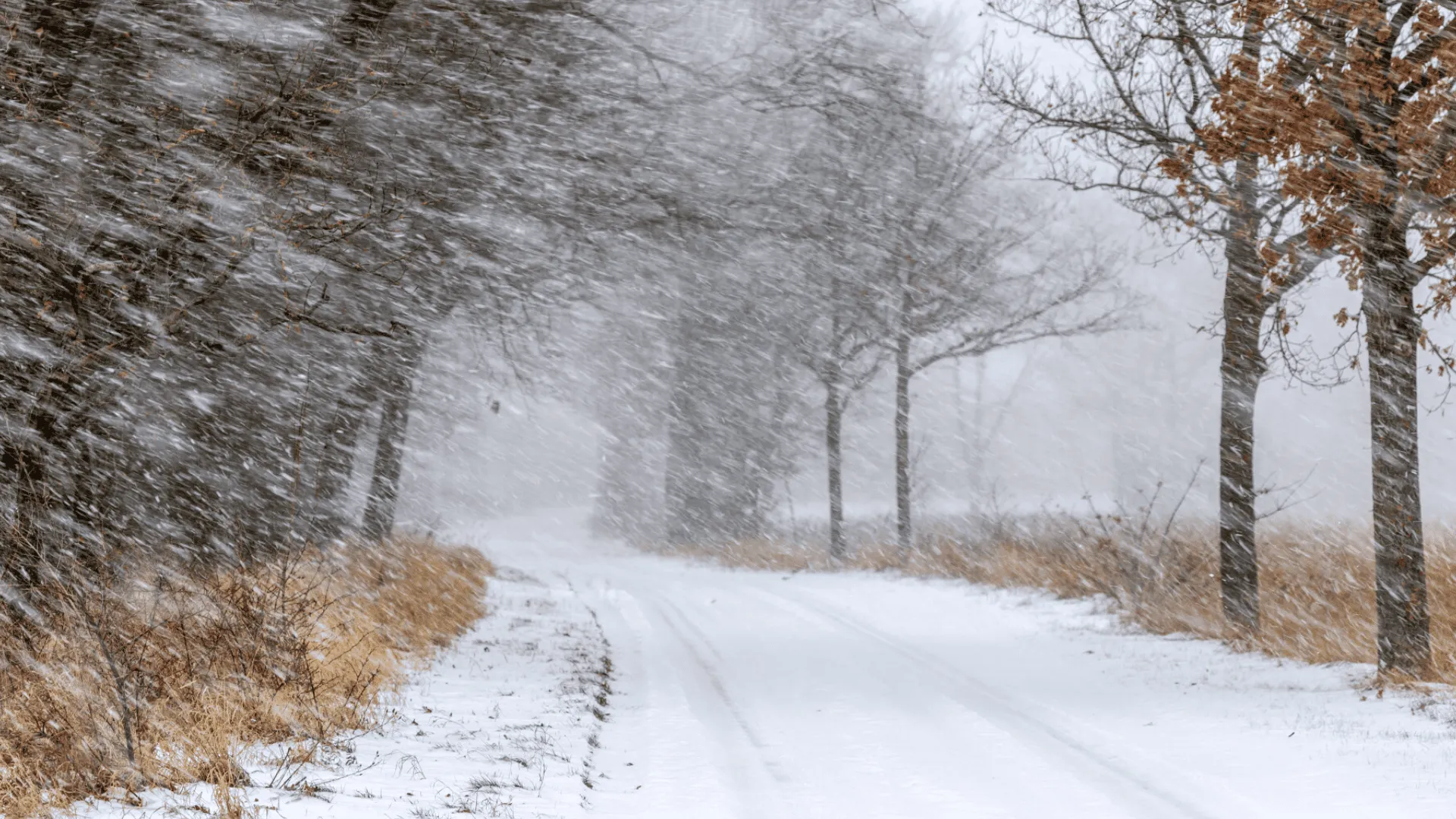 Polska w lodowym uścisku: Alerty IMGW przed ekstremalną pogodą