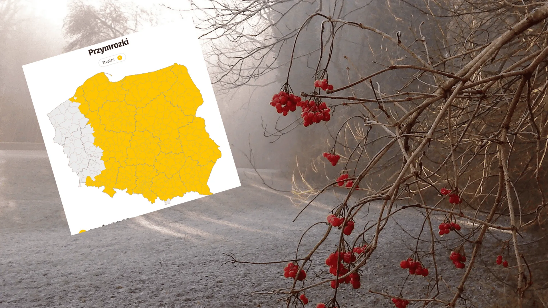 Pogoda, IMGW, alert, ostrzeżenie, noc