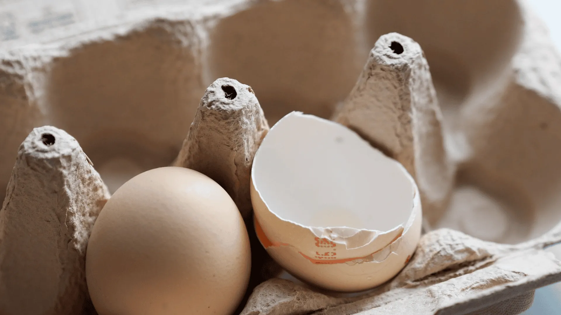 Jajka zatrute salmonellą