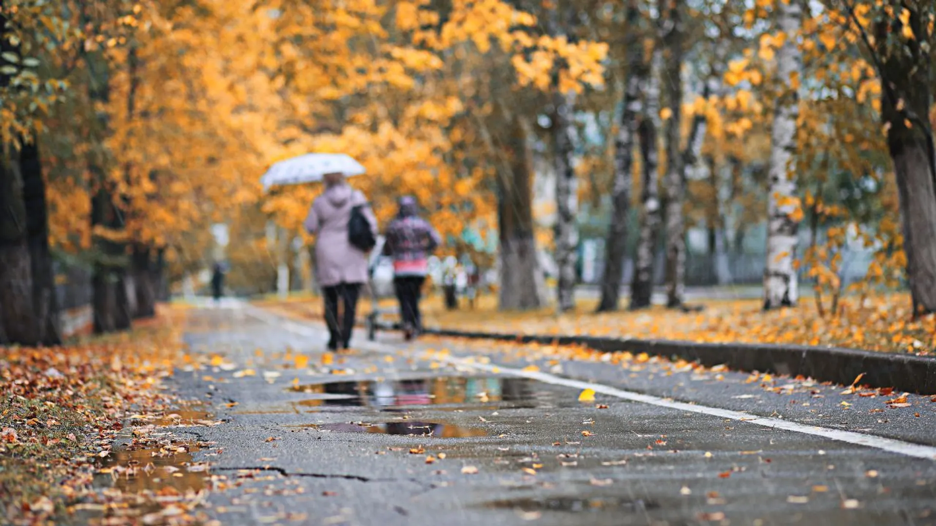 Jesień pogoda park