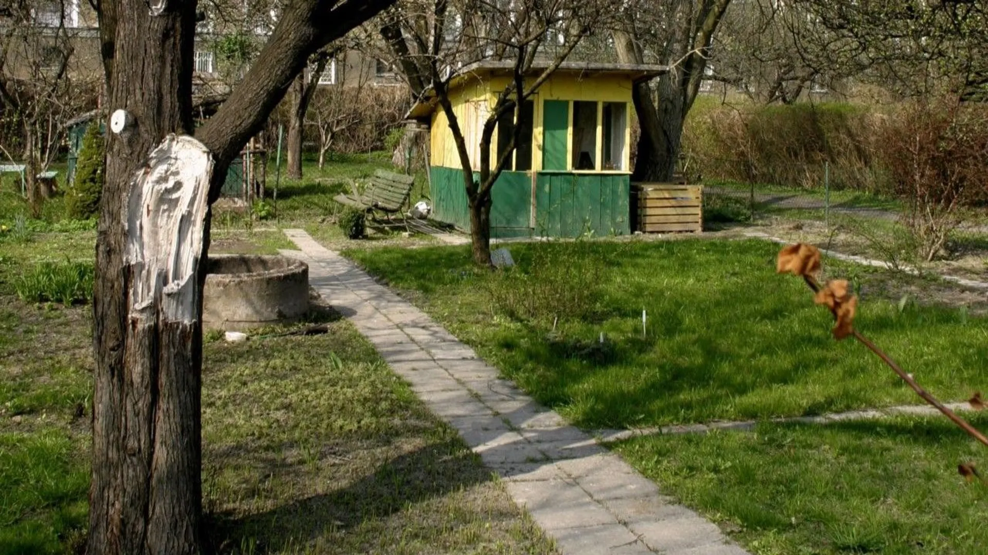 działka