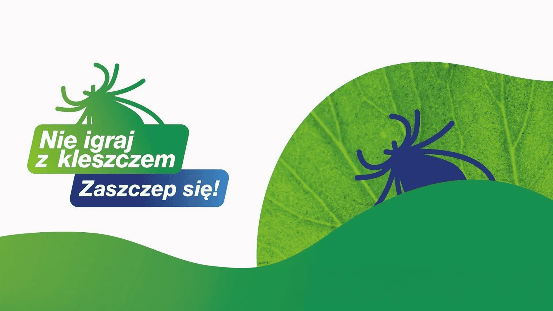 Kleszcze