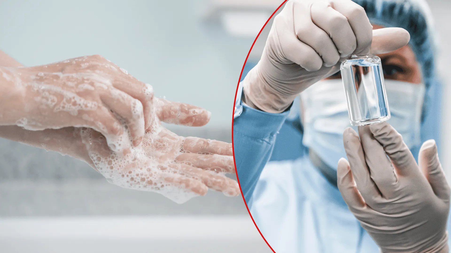 Żółty alarm na granicy: Czy epidemia z Czech dotrze do Polski?