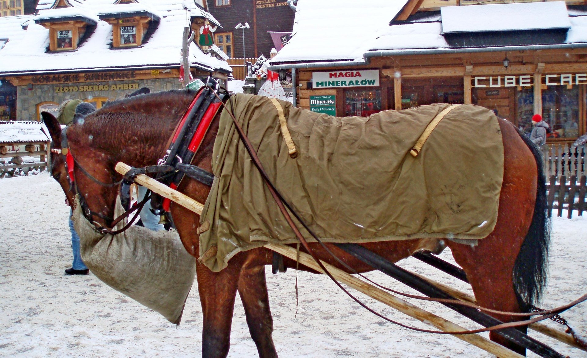 Szokujące sceny pod Wielką Krokwią. Mieszkańcy nie mogli uwierzyć