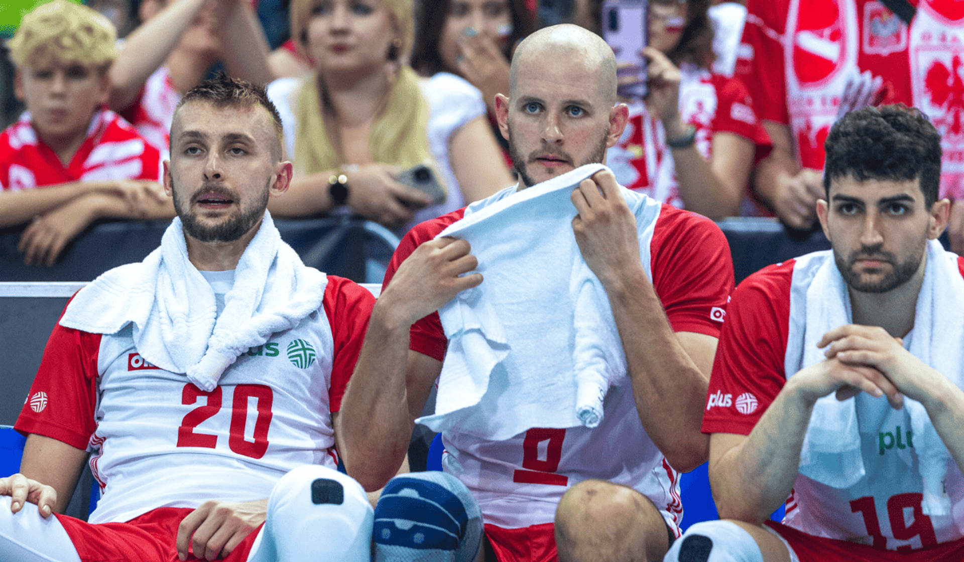 Mateusz Bieniek, Bartosz Kurek, Marcin Janusz