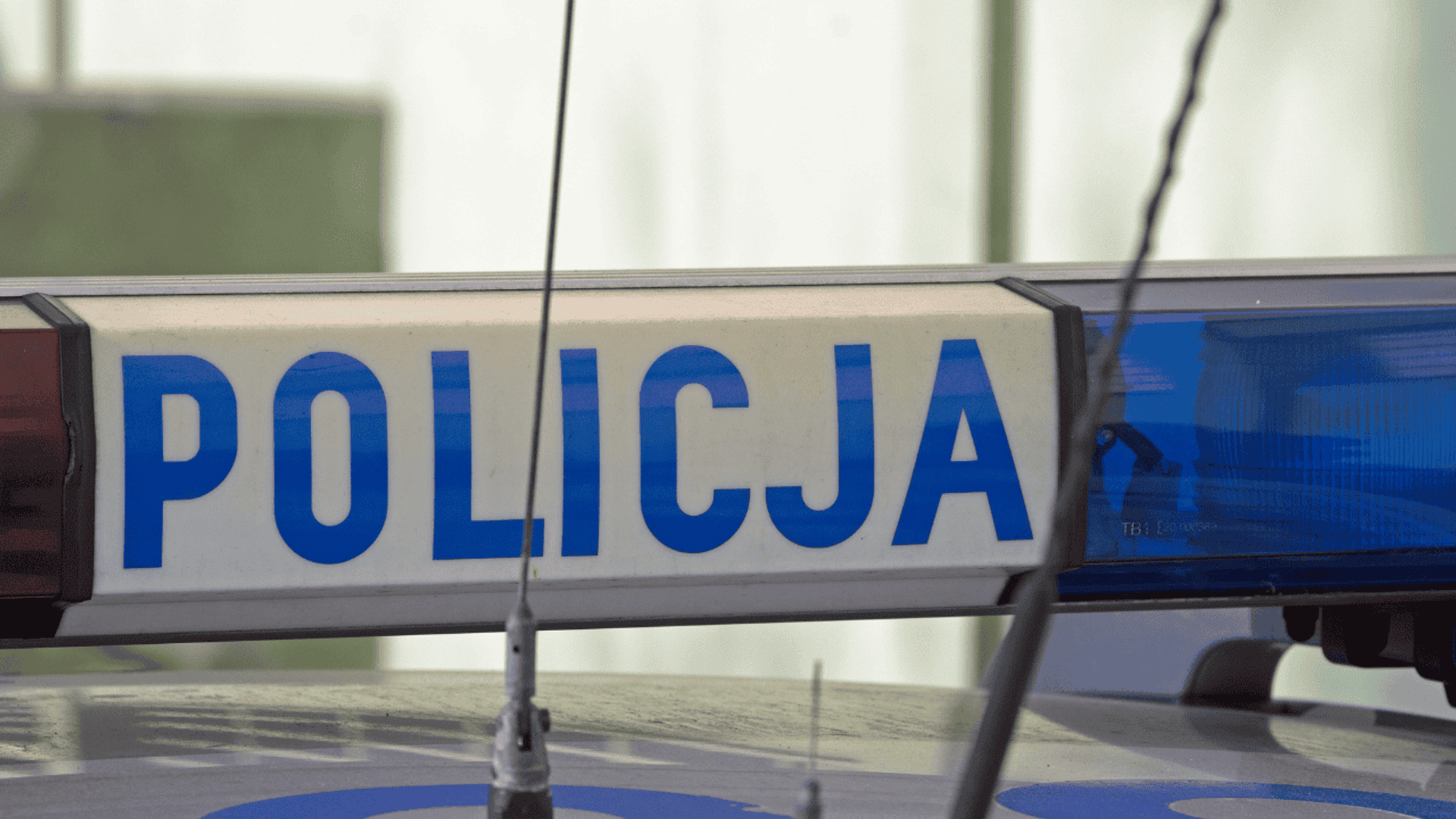 policja
