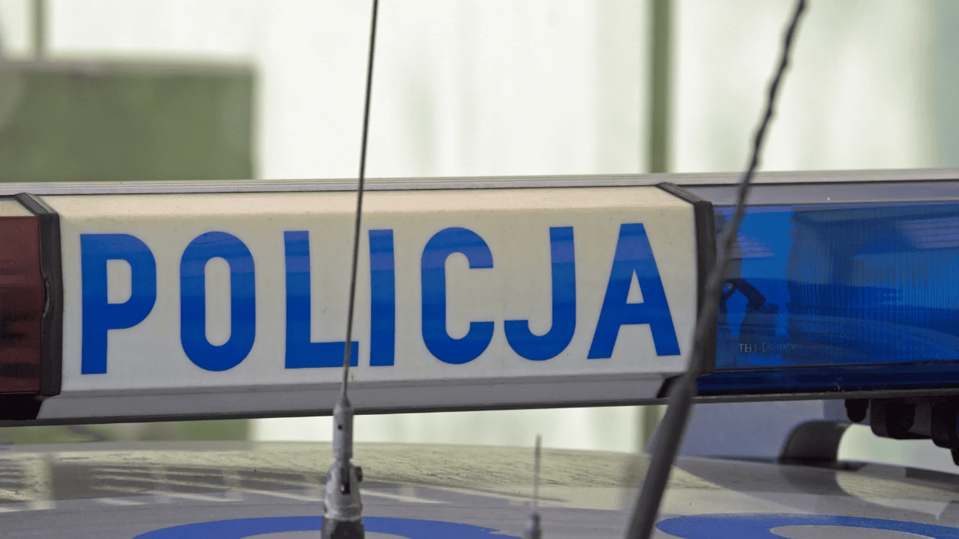 policja