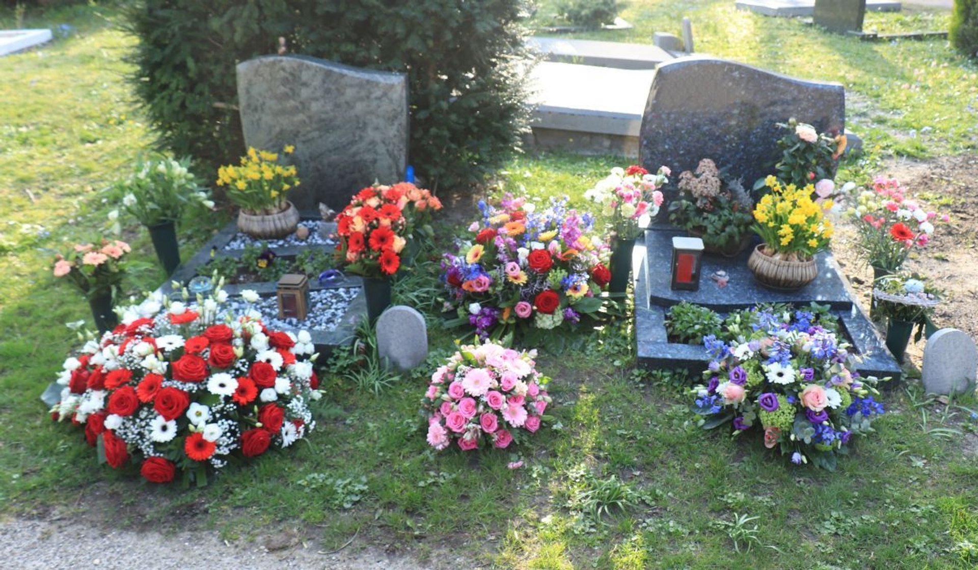 Kwiaty na cmentarz