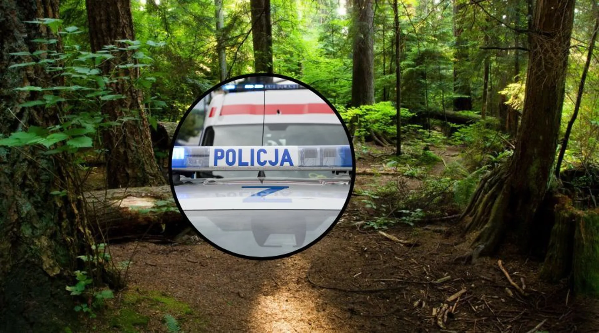 Las i policja