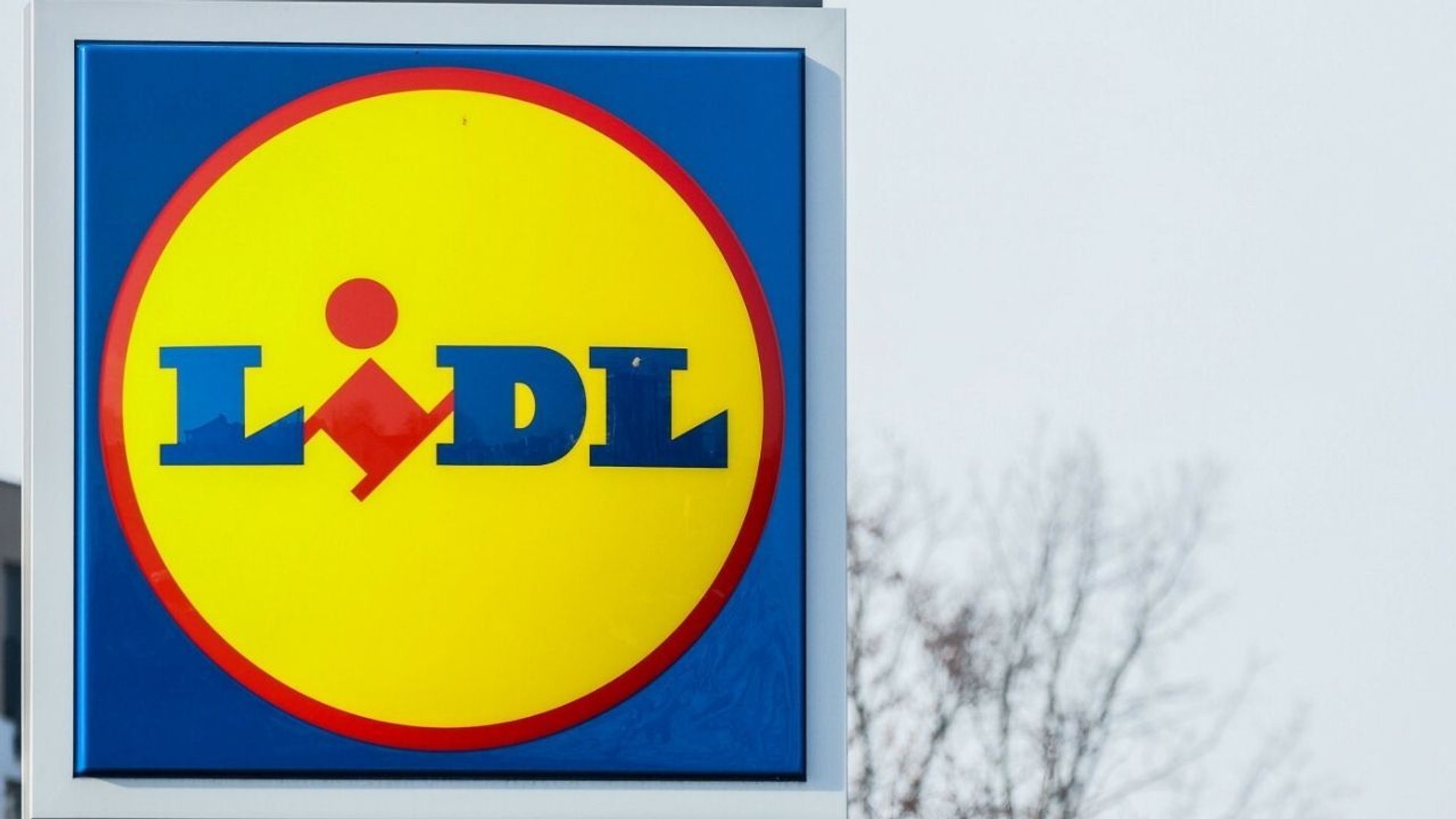 Lidl 