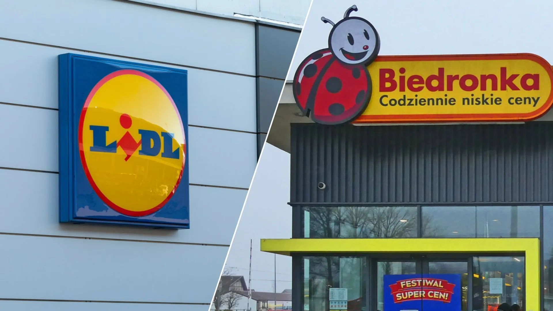 Lidl i Biedronka