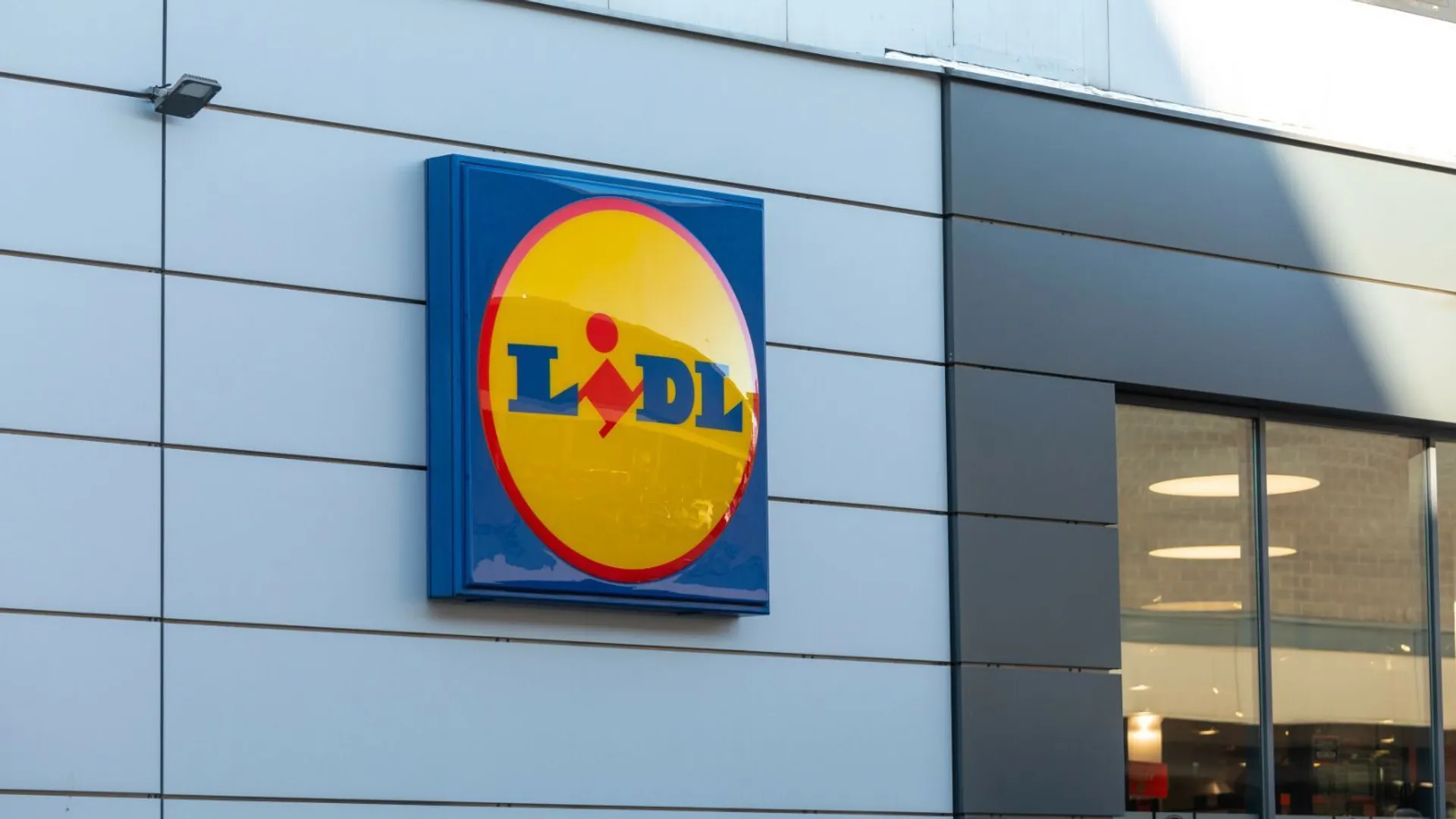 Lidl wiosna oferta