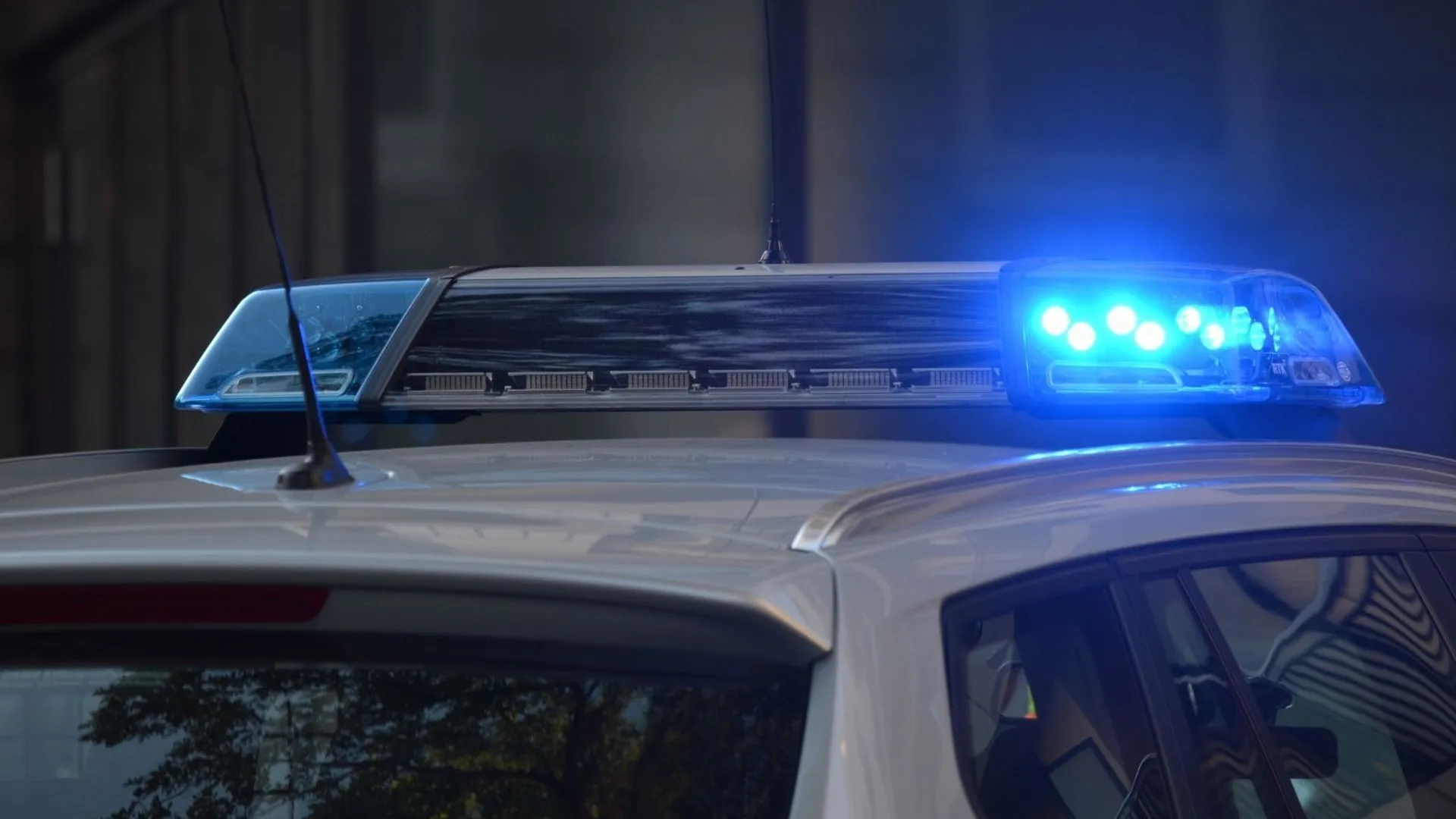 Litwa policja