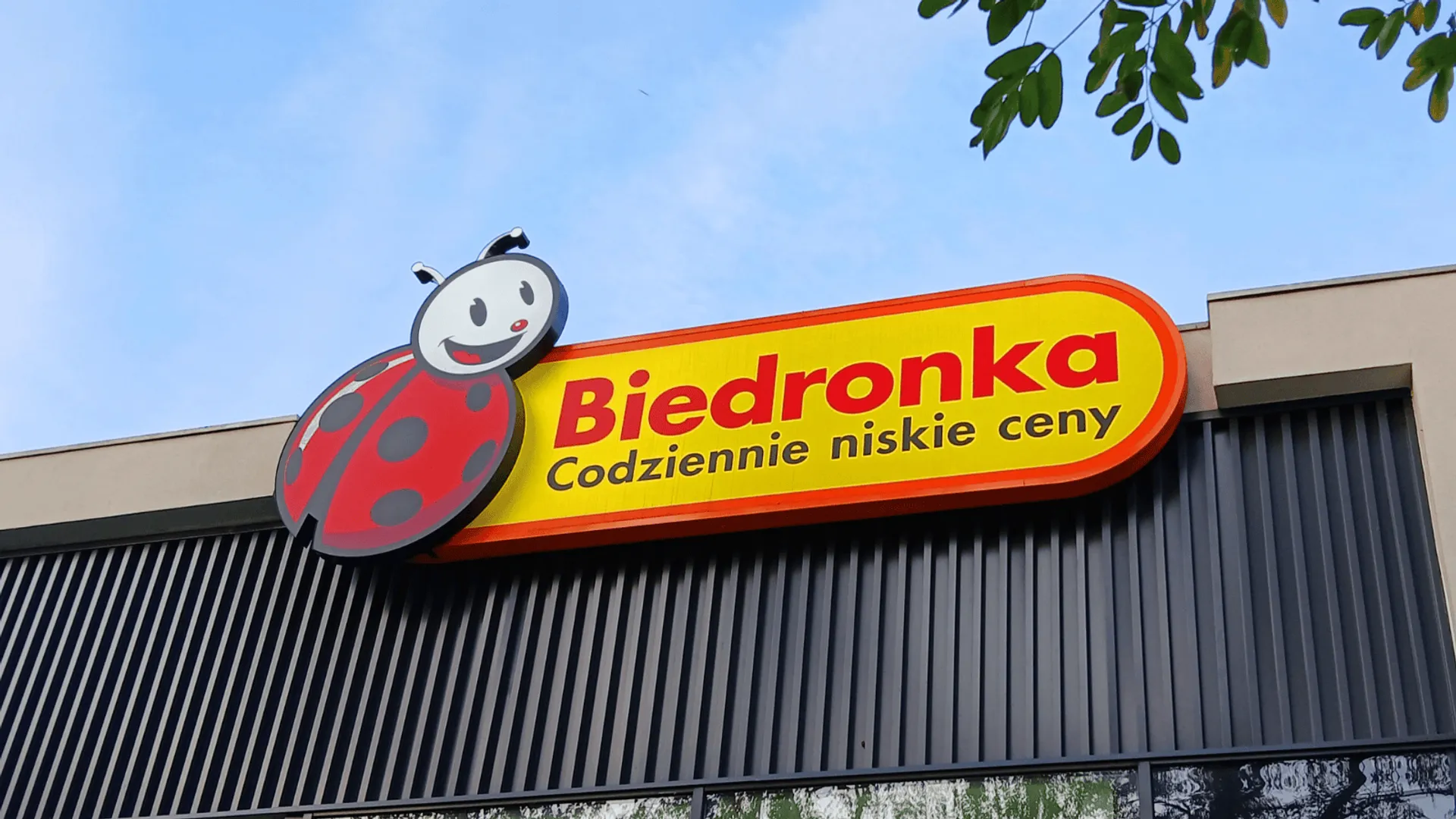 Biedronka wycofuje popularny produkt. GIS ostrzega przed groźną bakterią