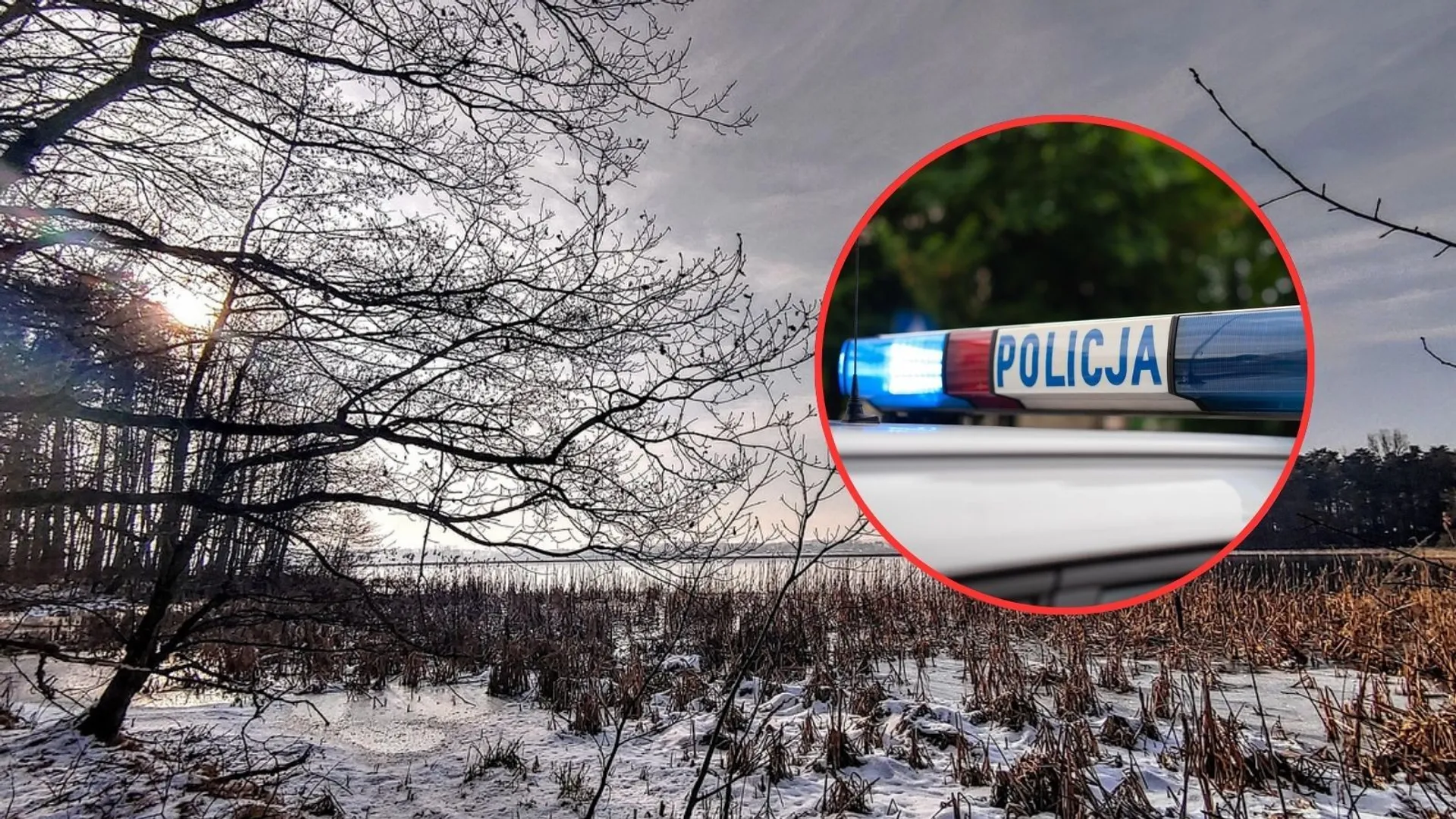 Makabryczne odkrycie podczas spaceru