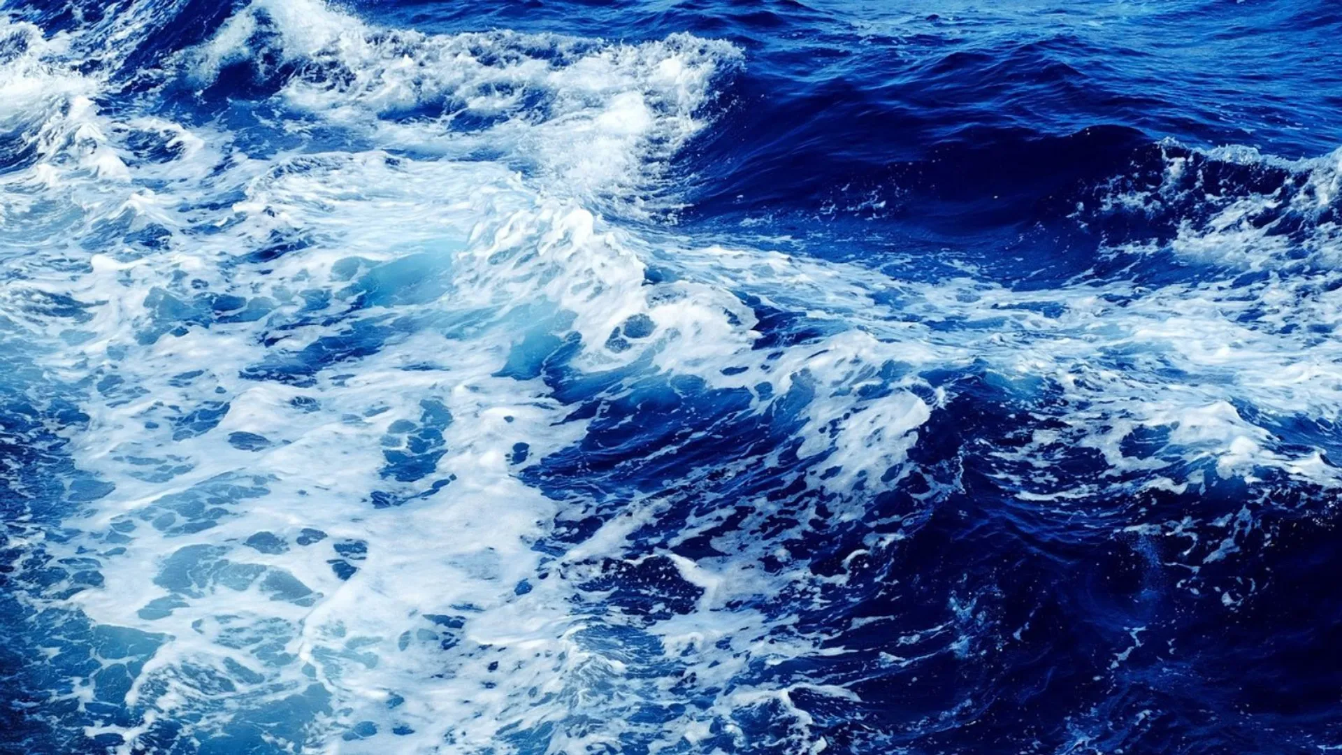 Dryfował na drzwiach lodówki