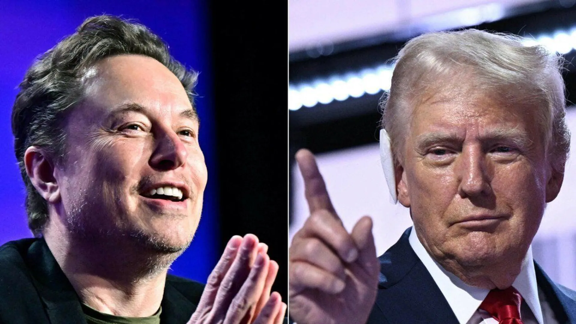 Donald Trump, Elon Musk