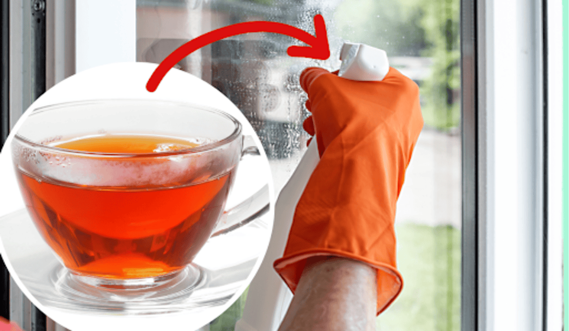 Mycie okien za pomocą herbaty, to tani sposób na czyste okna!
