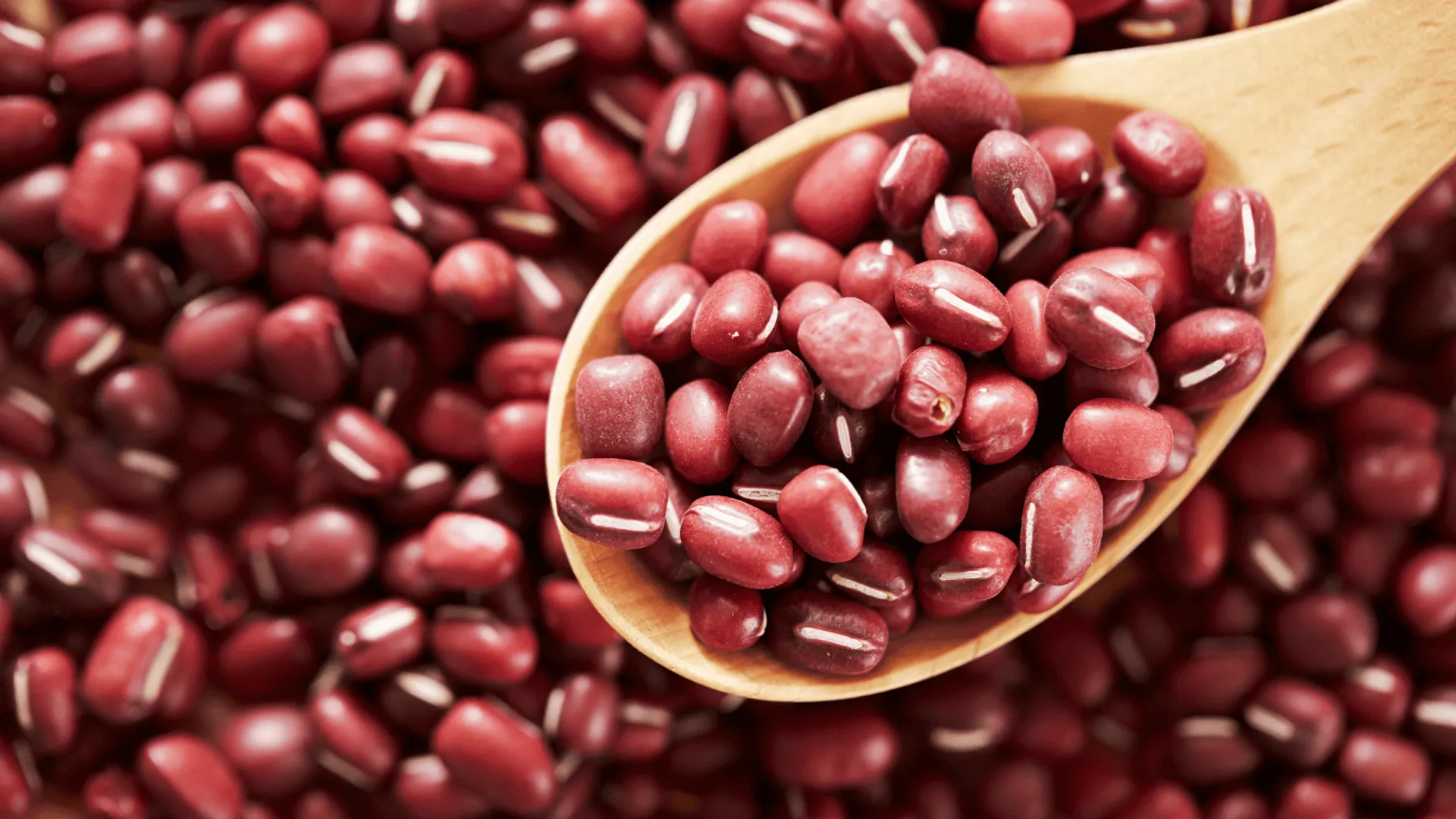 Najbardziej toksyczna roślina 2026 roku fot. Canva Pro