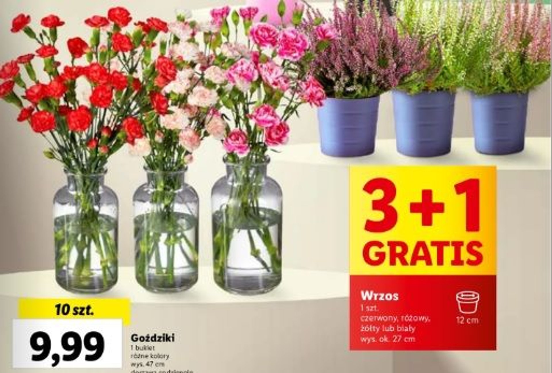 Od czwartku w Lidlu nowa oferta. Złapiesz się za głowę, gdy zobaczysz