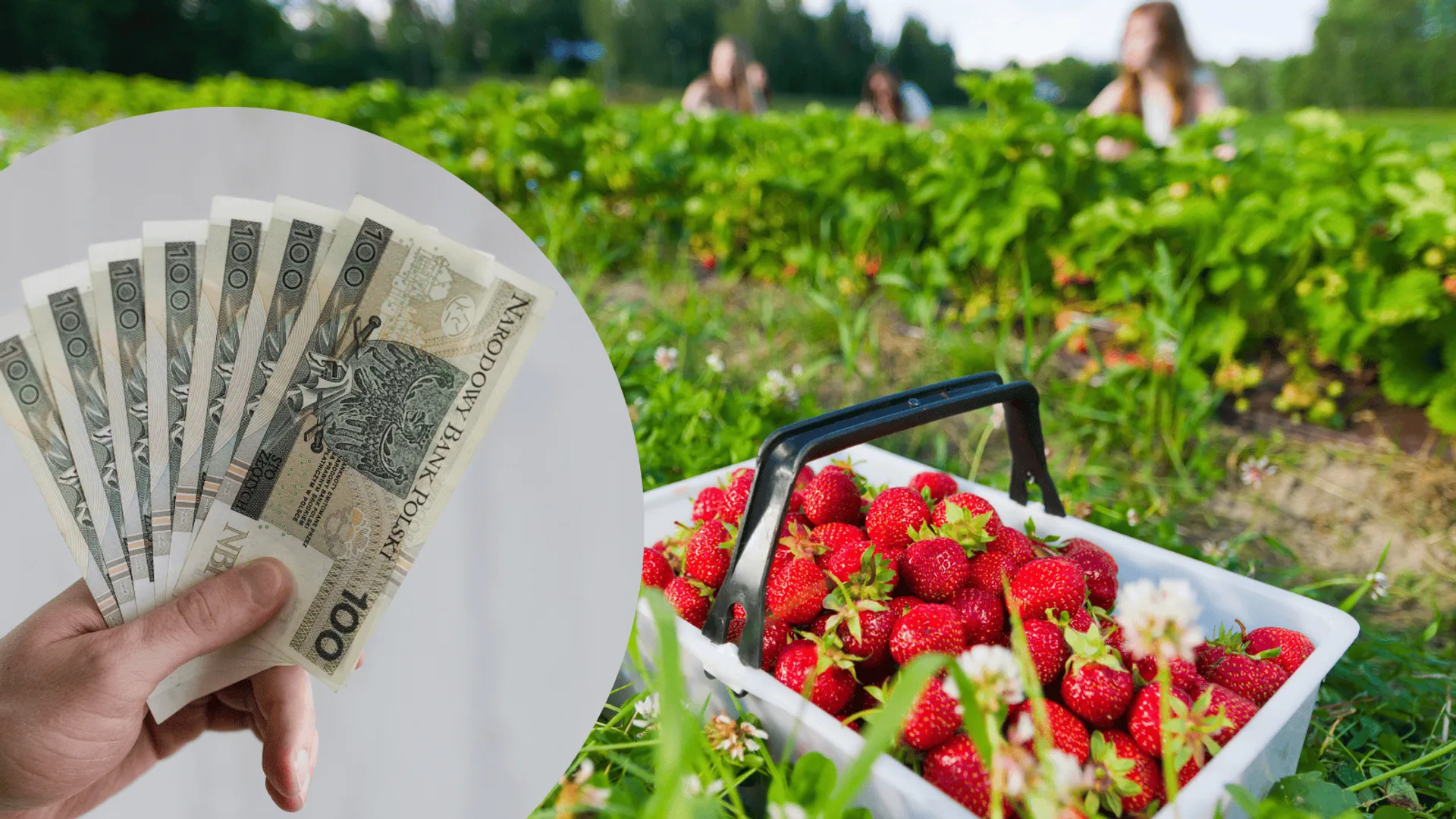 Oferty pracy za granicą