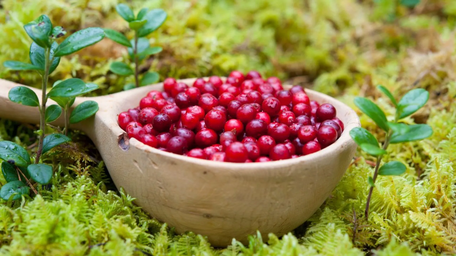 Owoce superfood