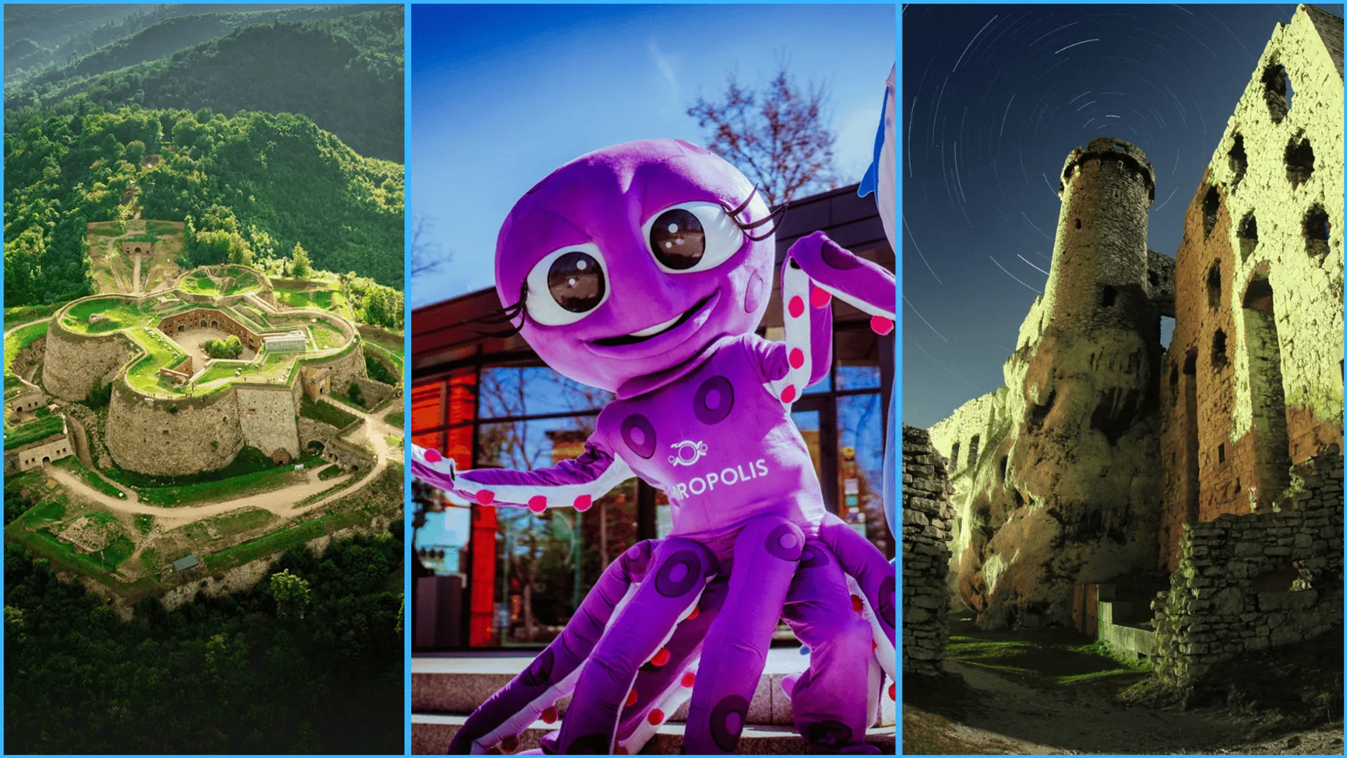 Polska Organizacja Turystyczna