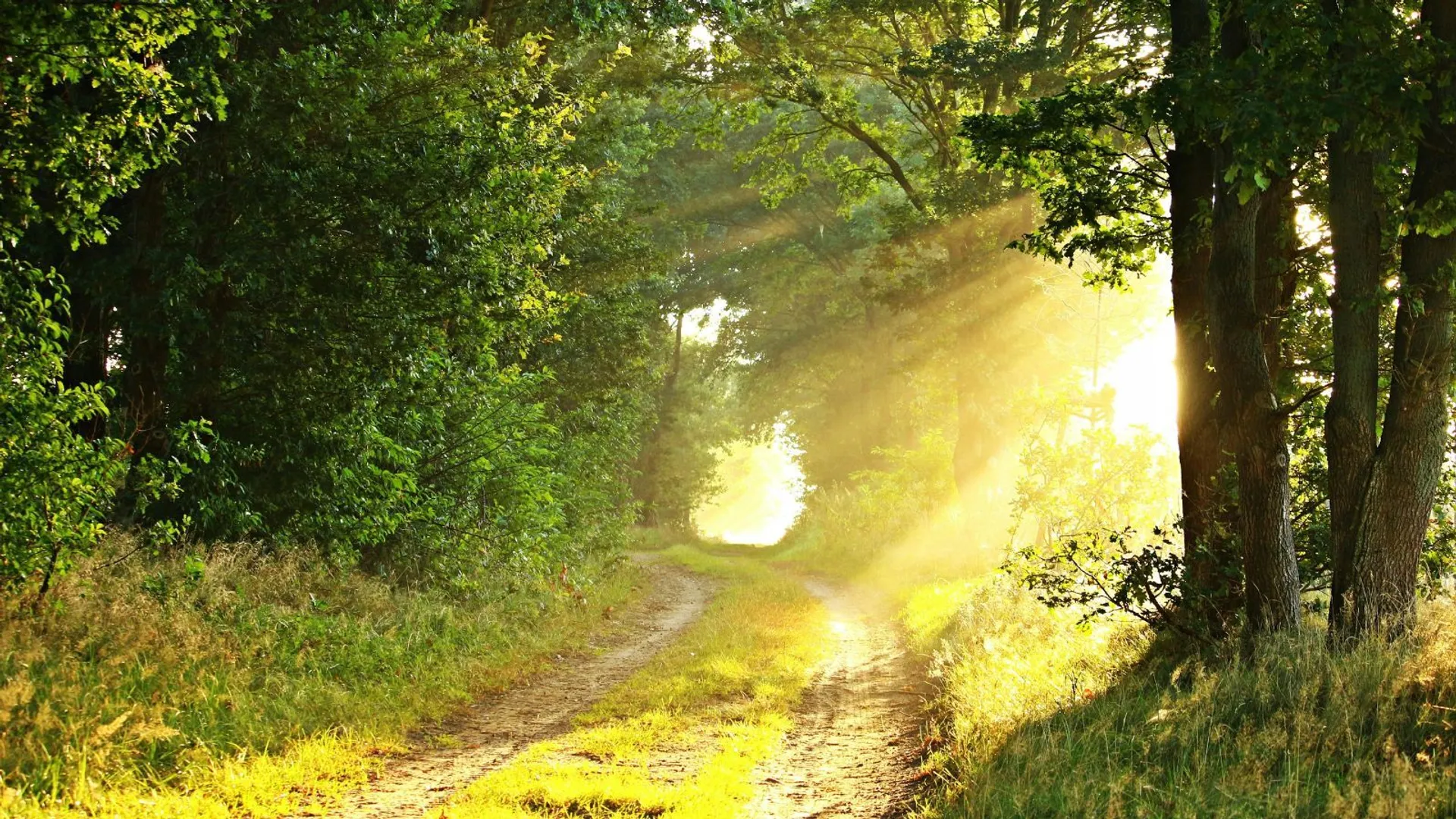 Padła konkretna data. Przepowiednia mówi, kiedy skończy się zima