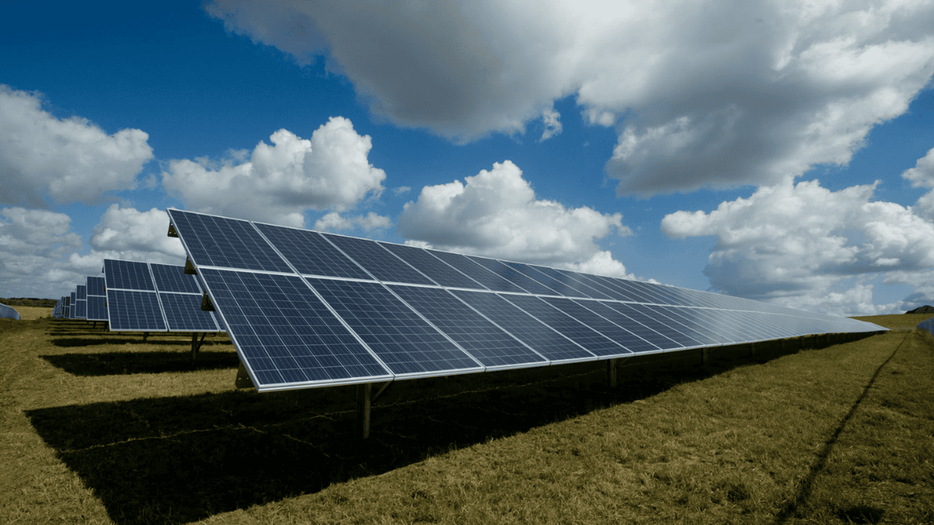 Panele solarne