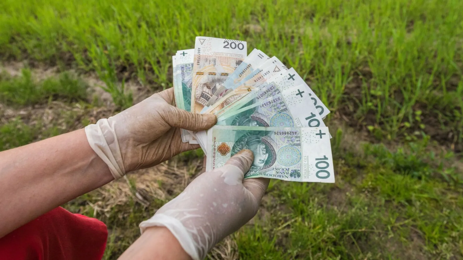 Pieniądze rolnicy