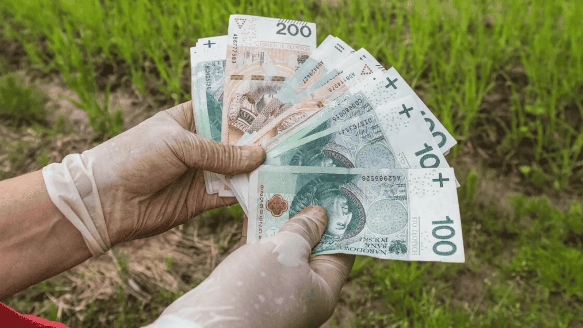 Pieniądze rolnika