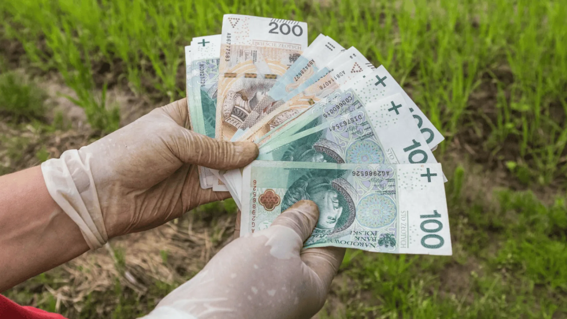 Pieniądze rolnika