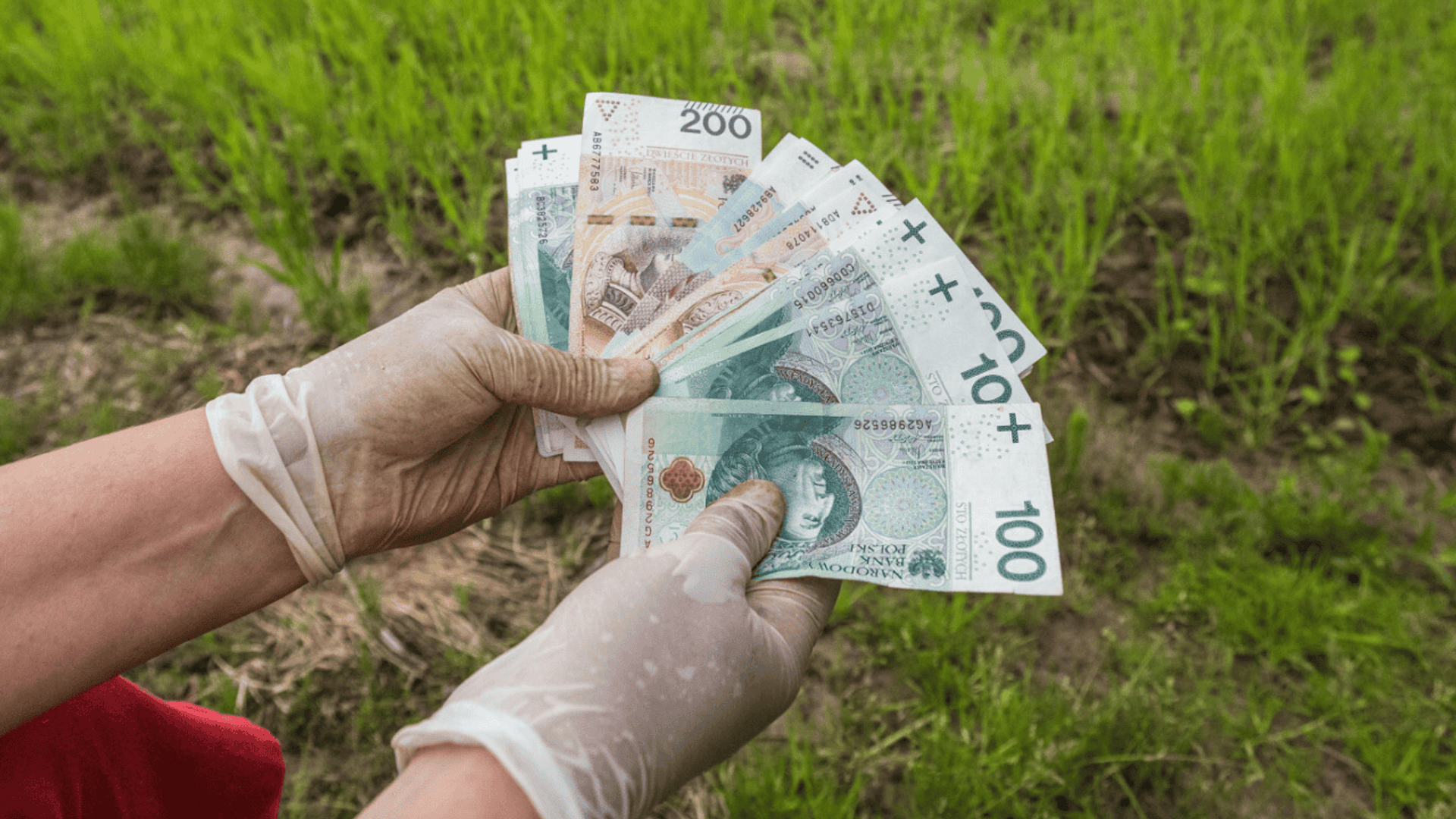 Pieniądze rolnika
