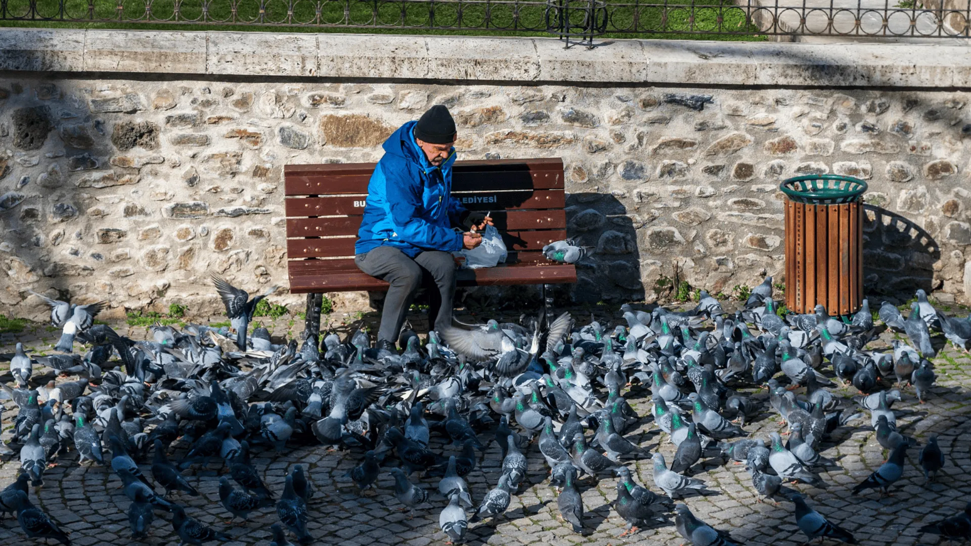 Pierwszy przypadek ptasiej grypy w UE
