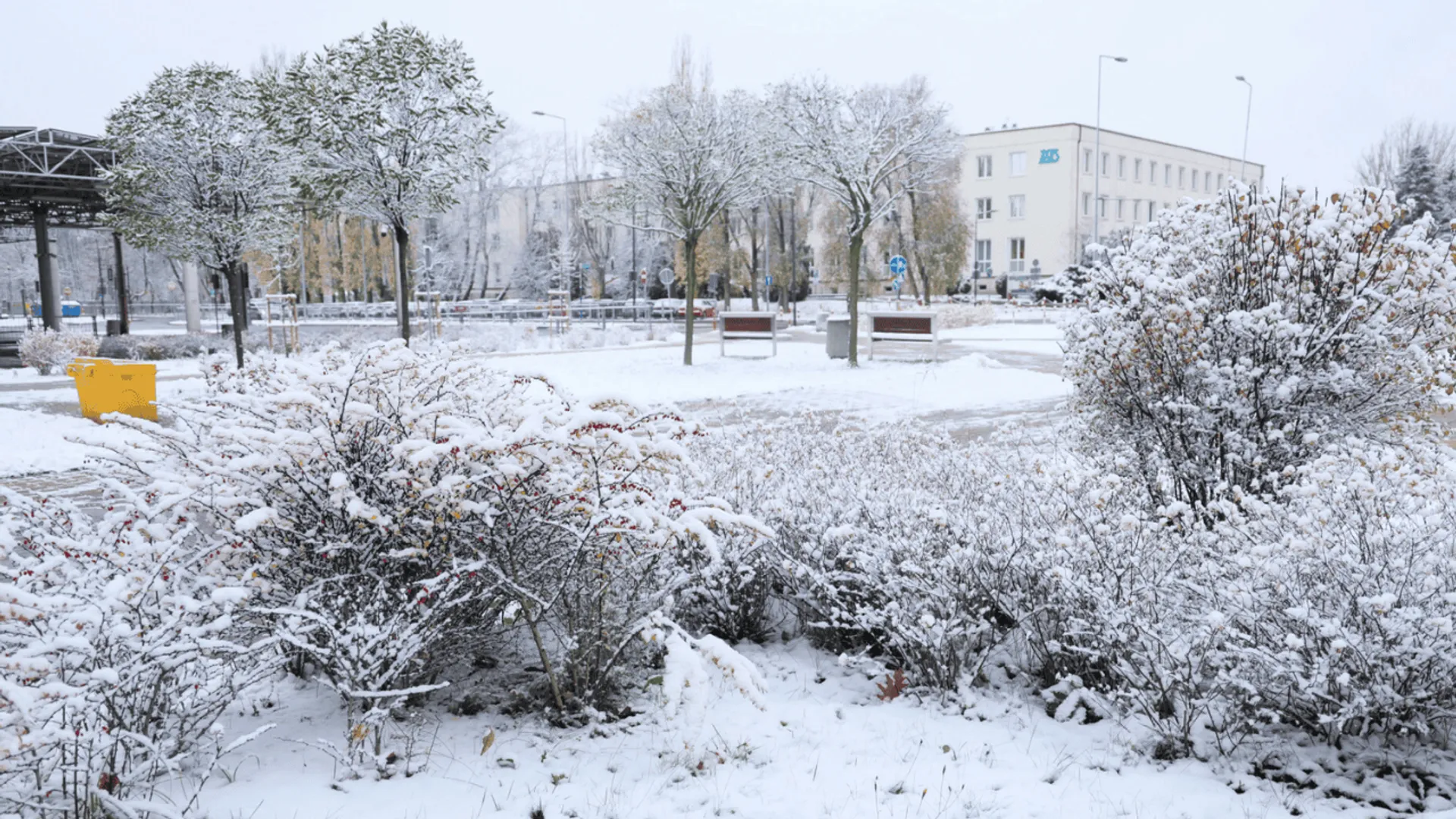 Pierwszy śnieg 2025