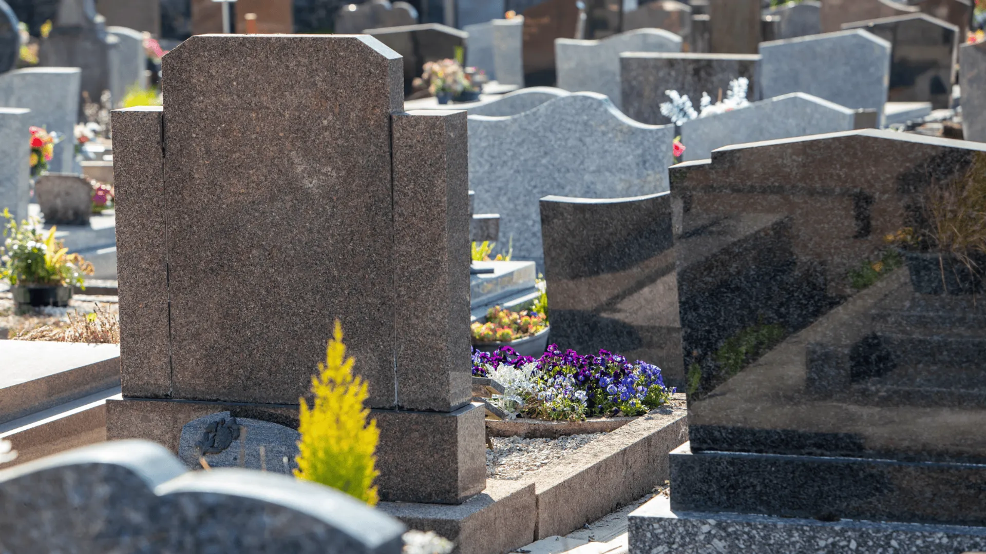 Przełom w prawie pogrzebowym: Prochy w ogrodzie i zwrot nienależnych opłat