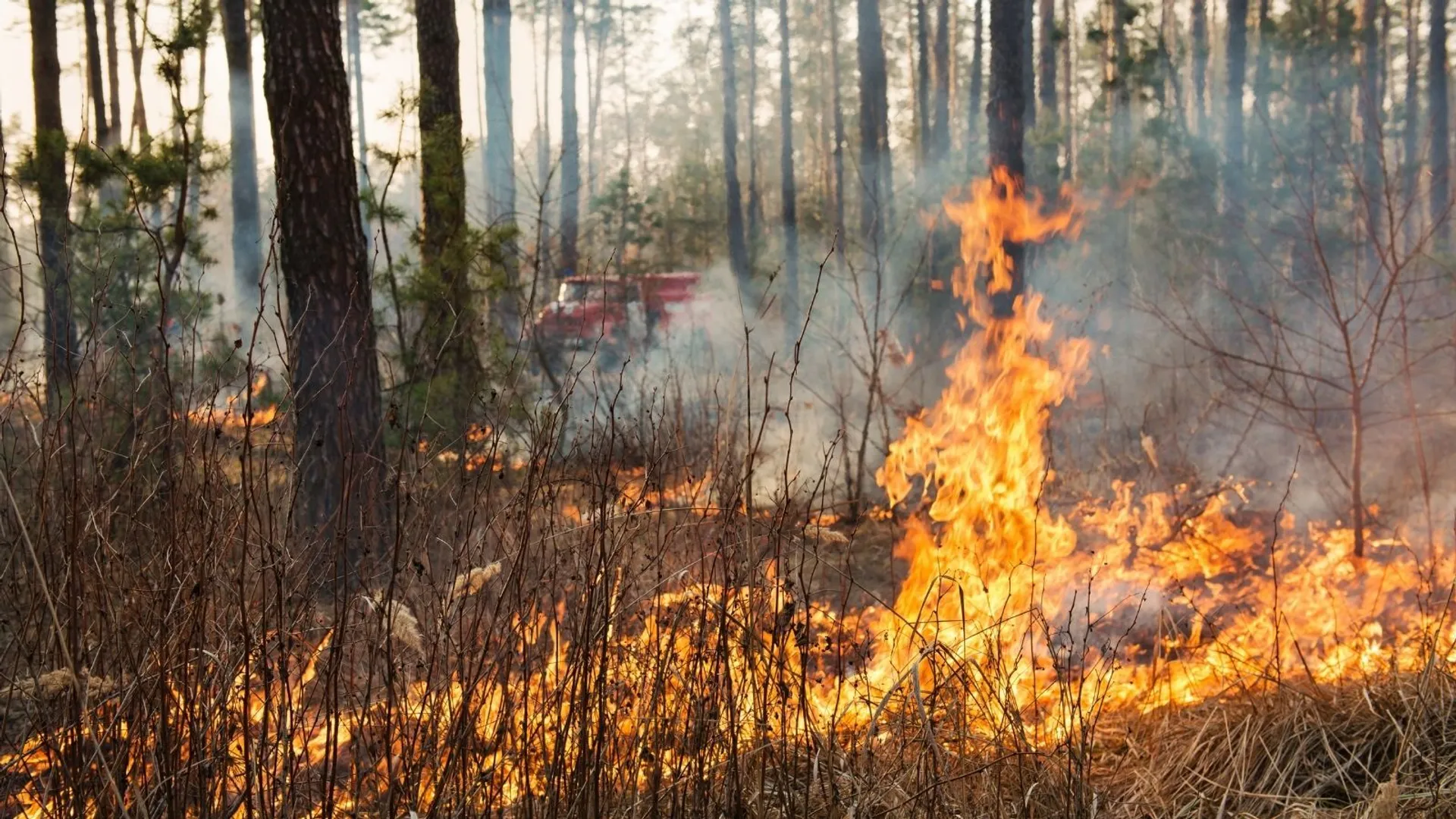 Pogoda, IMGW, pożar, alert