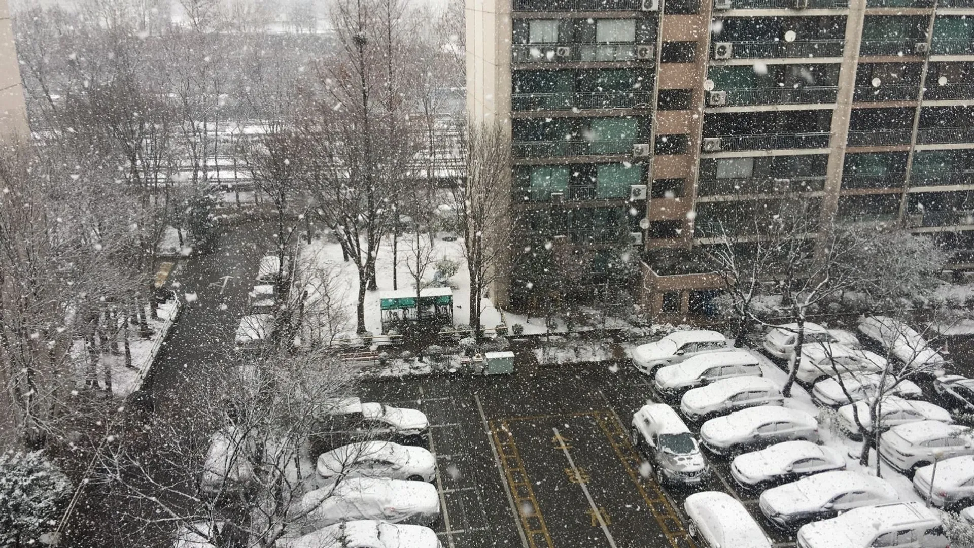 Pogoda na 11 października, pogoda, śnieg