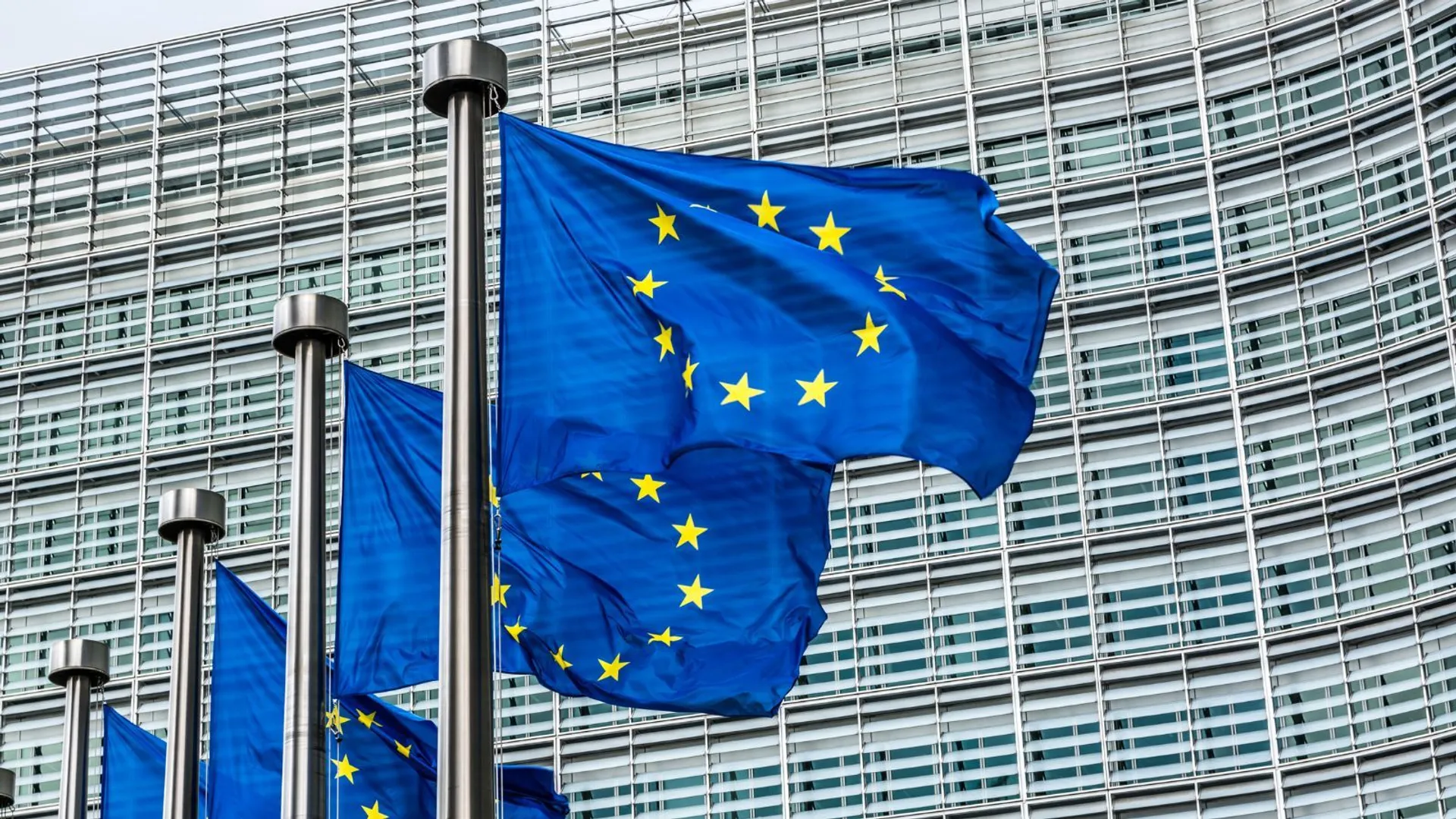 Polexit sondaż