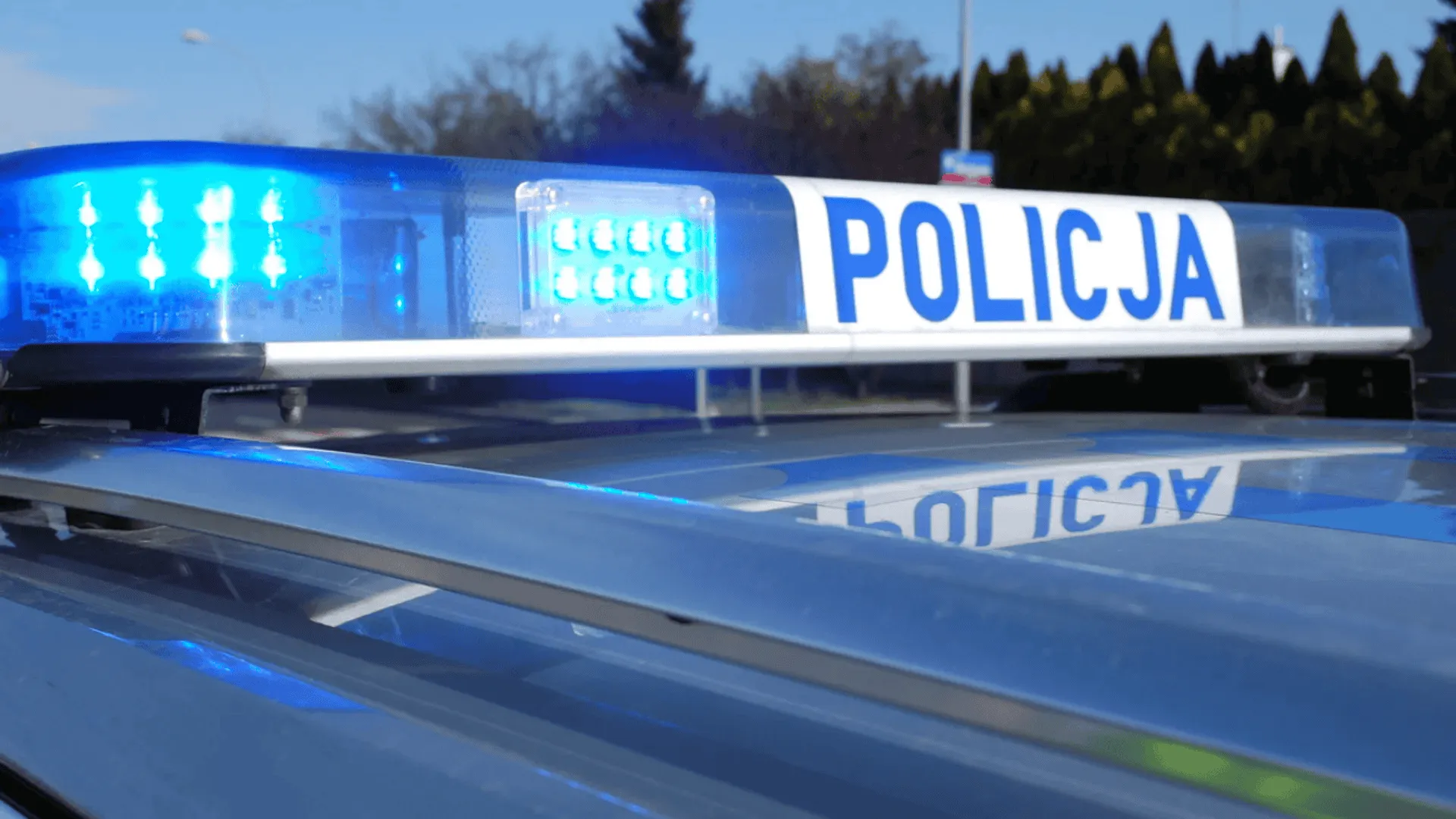 policja