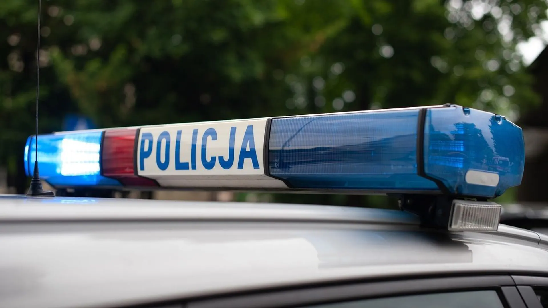 Policja