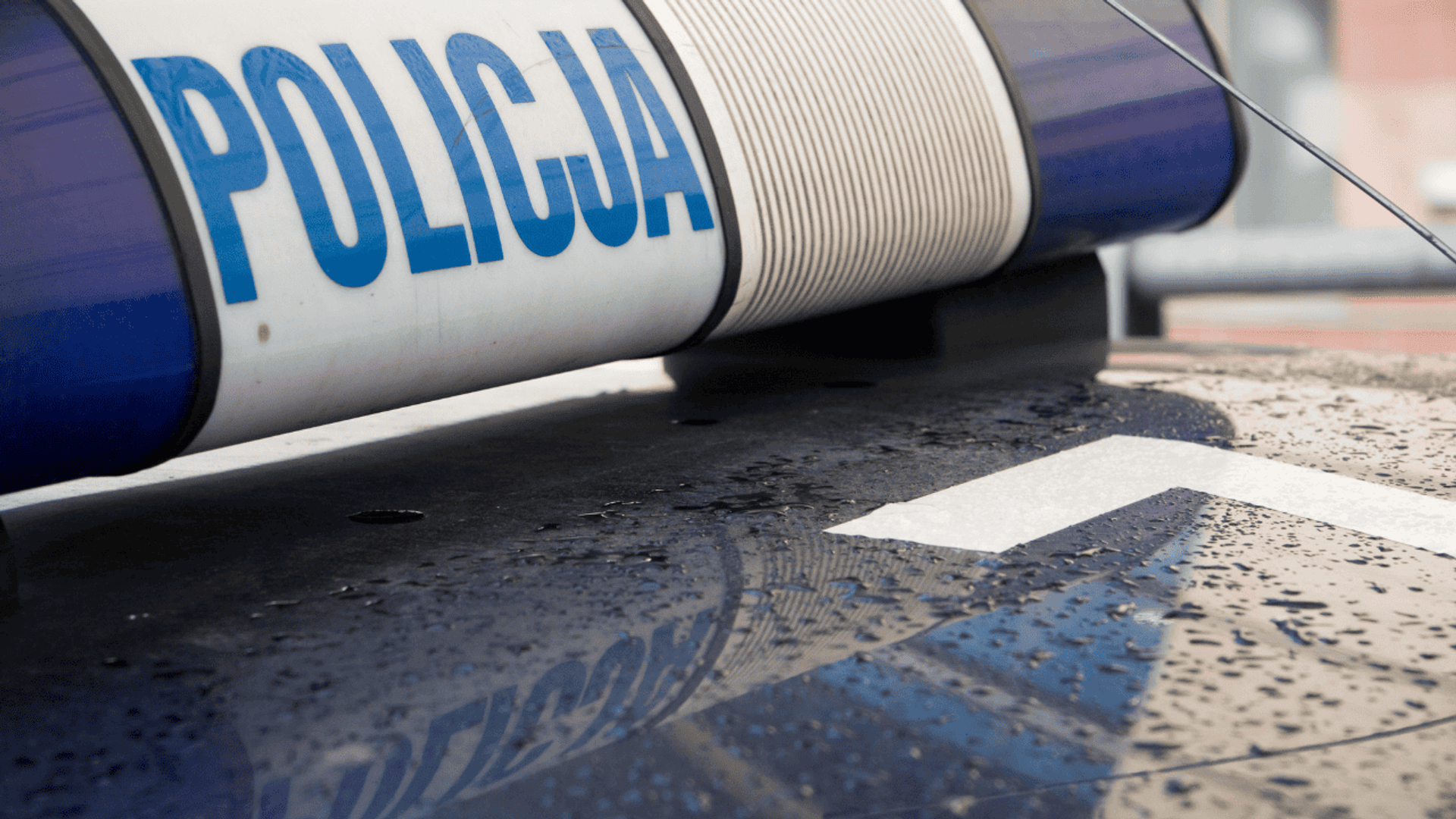 policja