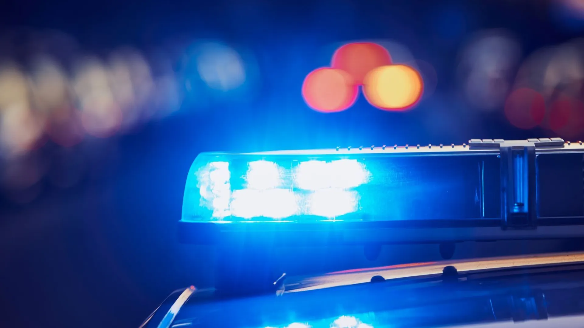 Na terenie ogródków działkowych w Warszawie odnaleziono ciało mężczyzny