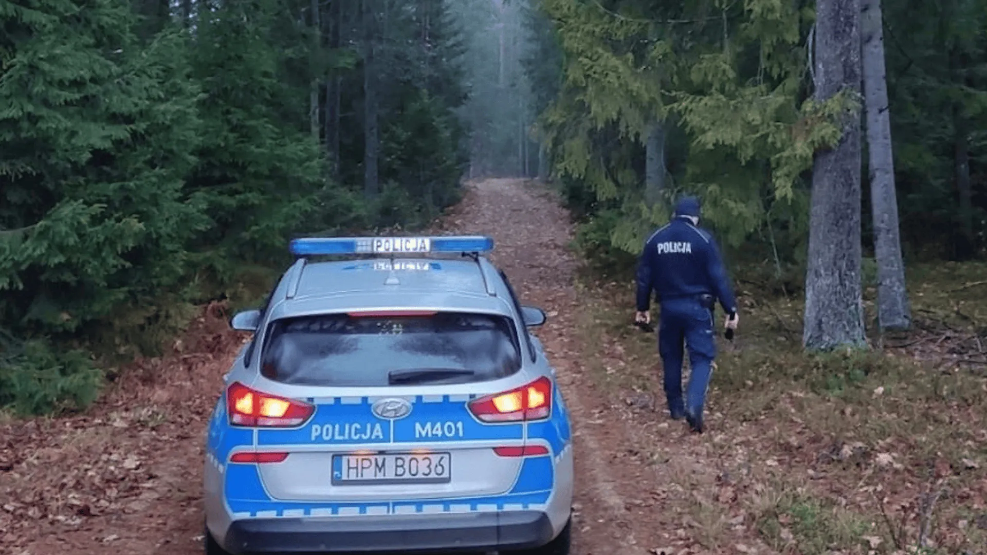 Policja, las